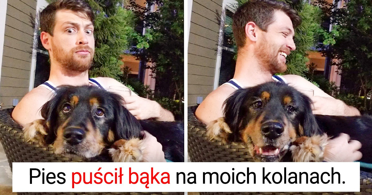14 fotek zrobionych w idealnym momencie