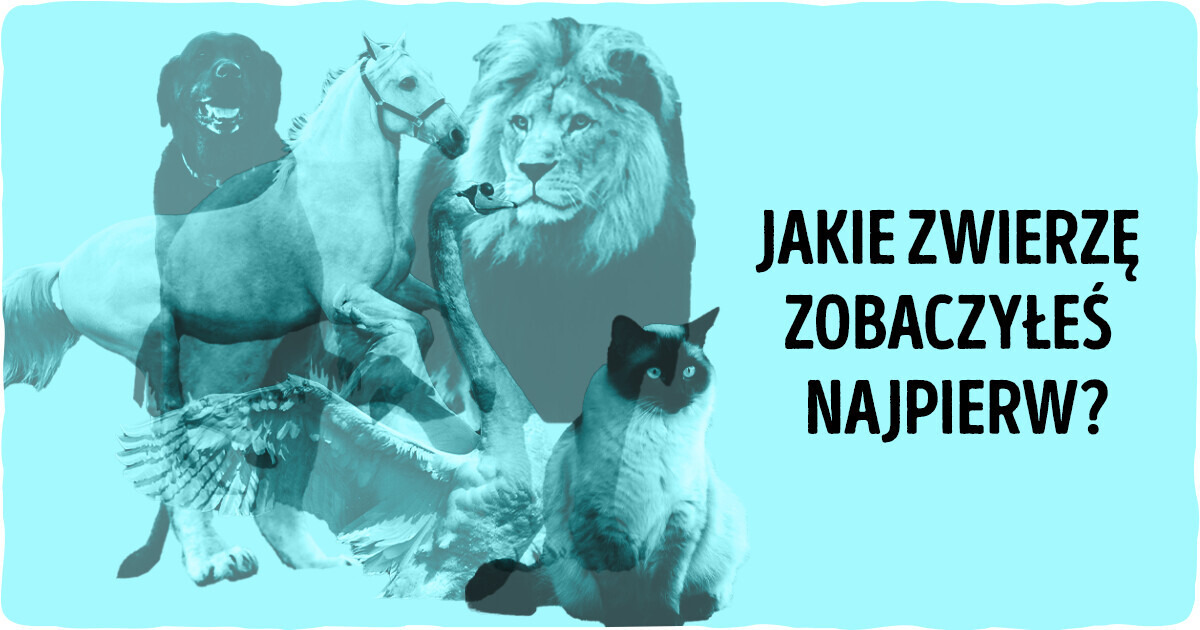 Test: Sprawdź, jakie zwierzę zobaczyłeś jako pierwsze, i dowiedz się czegoś ciekawego o sobie Test: Sprawdź, jakie zwierzę zobaczyłeś jako pierwsze, i dowiedz się czegoś ciekawego o sobie
