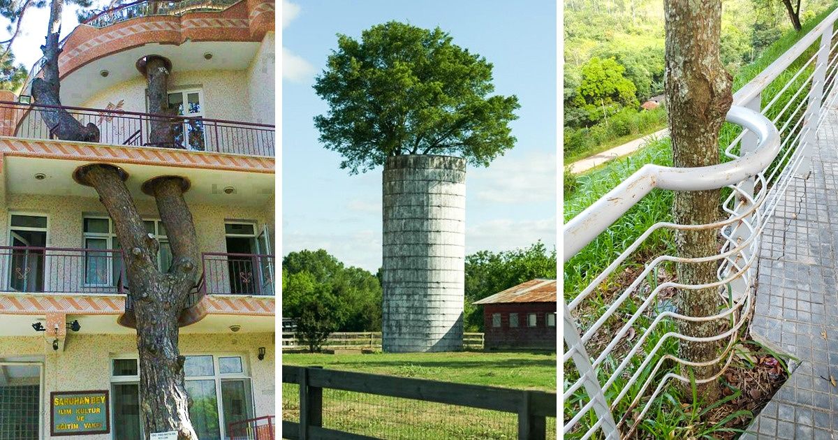25 zdjęć ukazujących szacunek dla przyrody — aż serce rośnie!