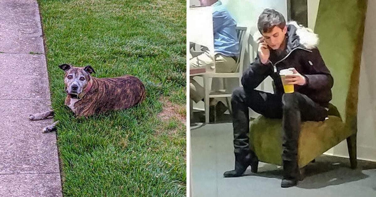 15 sytuacji, w których perspektywa sprawiła, że zakręciło nam się w głowie 15 sytuacji, w których perspektywa sprawiła, że zakręciło nam się w głowie