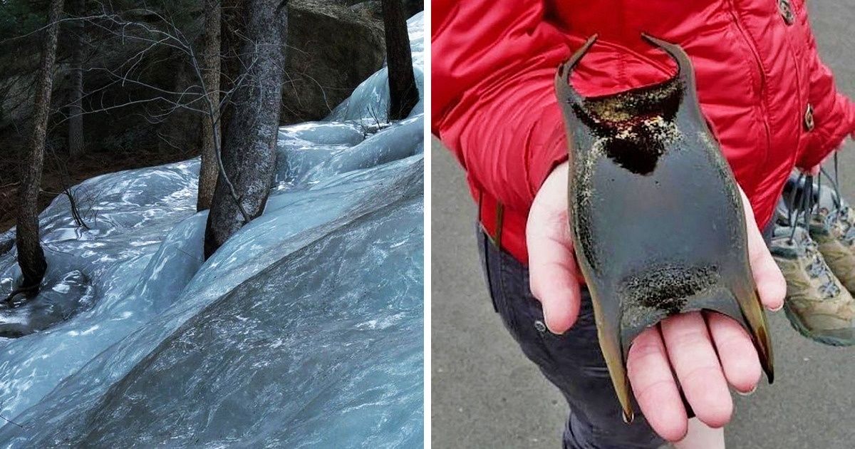 26 unikalnych zdjęć, które potwierdzają, że świat jest pełen cudów