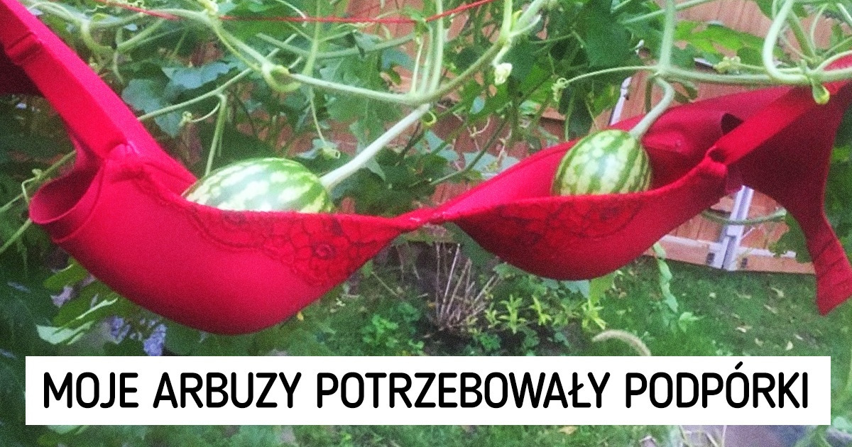 20 osób, które rozwiązały swój problem dzięki nieszablonowemu myśleniu