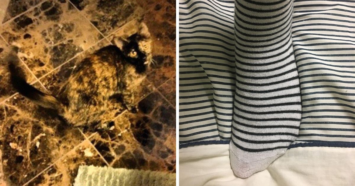 15 rzeczy, które idealnie zlewają się z otoczeniem 15 rzeczy, które idealnie zlewają się z otoczeniem