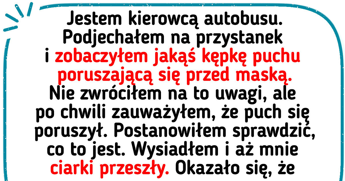 12 zabawnych historii, które mogły wydarzyć się tylko w autobusie
