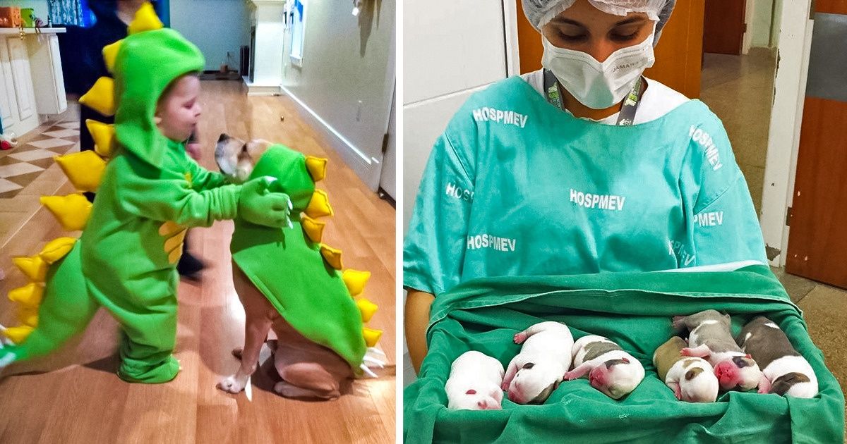 18 zdjęć, które są zbyt dobre, żeby ich nie udostępnić