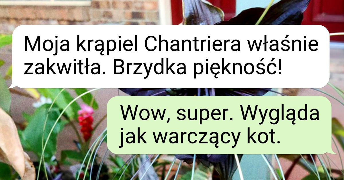 19 roślin, które lubią się popisywać