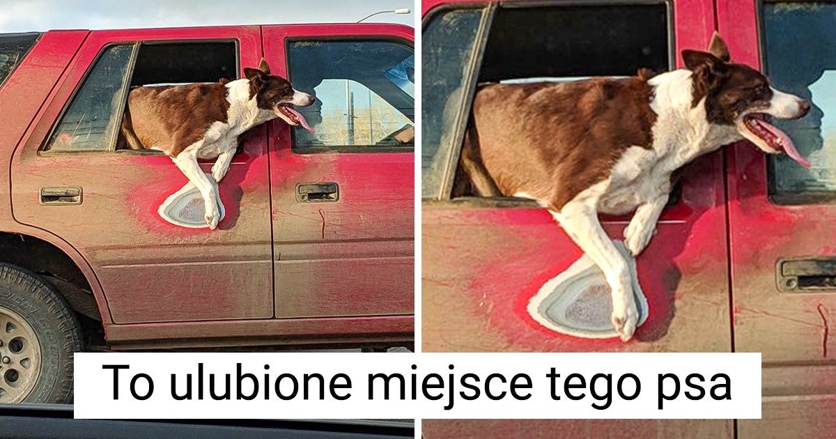 19 fascynujących zdjęć, które sugestywnie pokazują upływ czasu