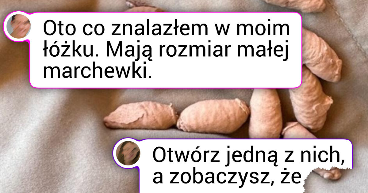 19 dowodów na to, że lato to nie tylko piasek i morze, ale także cała masa niespodzianek