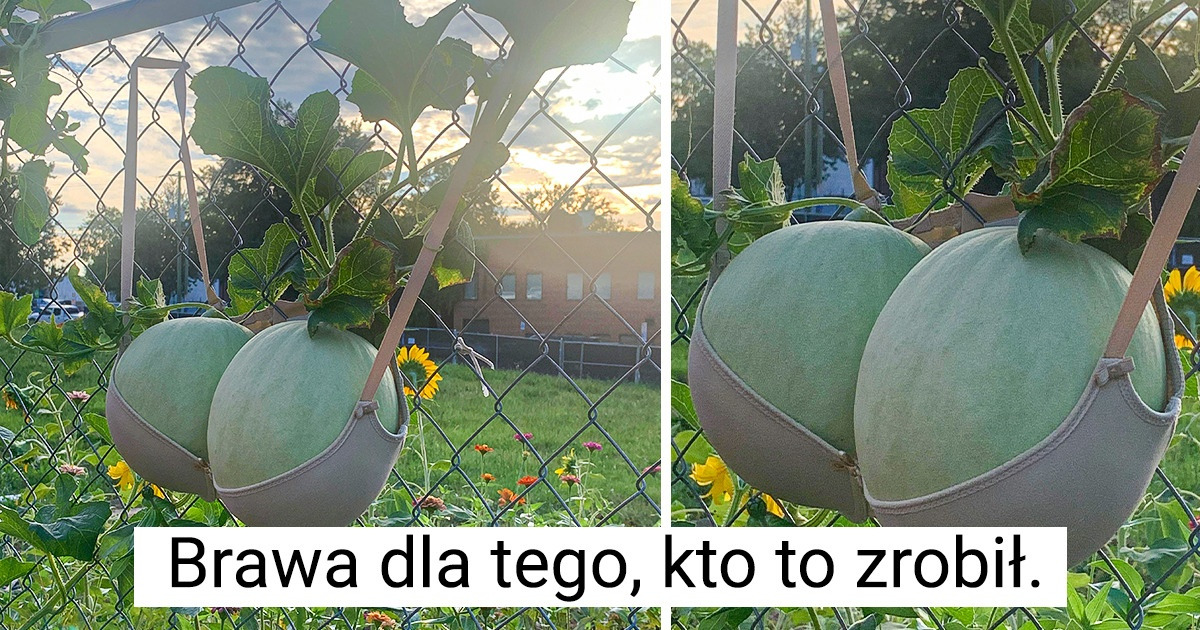 15 osób, dla których nie ma przeszkód w osiągnięciu celu