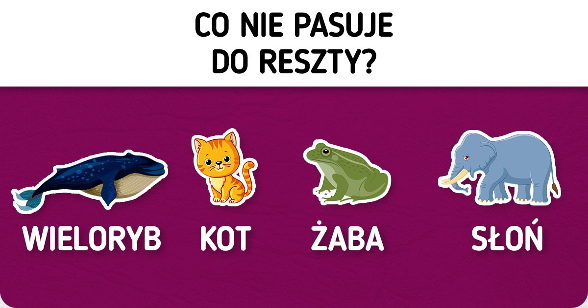 Test: Sprawdź swoją zdolność logicznego myślenia, rozwiązując kilka prostych zagadek Test: Sprawdź swoją zdolność logicznego myślenia, rozwiązując kilka prostych zagadek