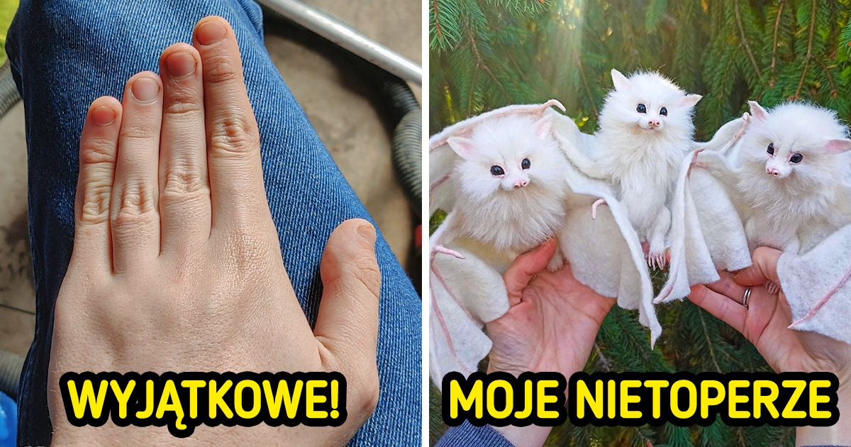 21 widoków, których zupełnie nie spodziewaliśmy się dziś zobaczyć