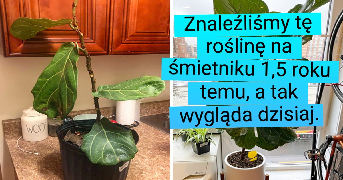 16 osób pokazało swój sukces na zdjęciach „przed” i „po”