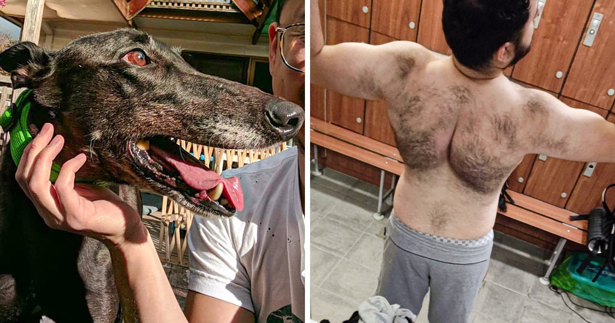 16 zdjęć zrobionych w idealnym momencie