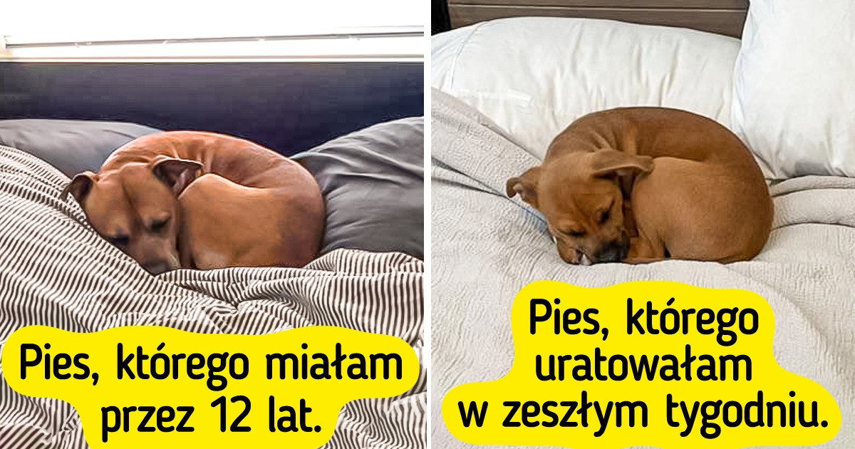 15 rozkosznych zdjęć, dzięki którym na pewno poczujesz się lepiej 15 rozkosznych zdjęć, dzięki którym na pewno poczujesz się lepiej