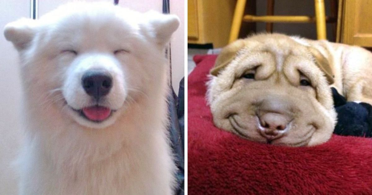 18 uroczych zdjęć, które rozjaśnią twoje życie 18 uroczych zdjęć, które rozjaśnią twoje życie