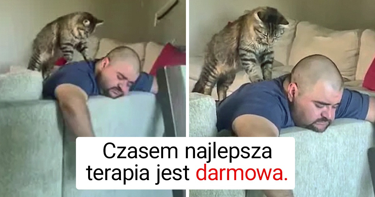 18 zwierzęcych przyjaciół, którzy zarażają człowieka dobrą energią