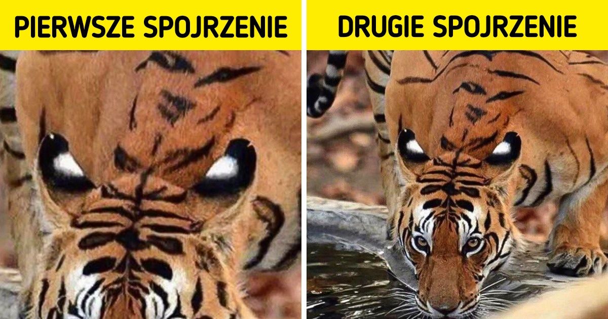 18 zdjęć, które na pierwszy rzut oka zwiodą każdego