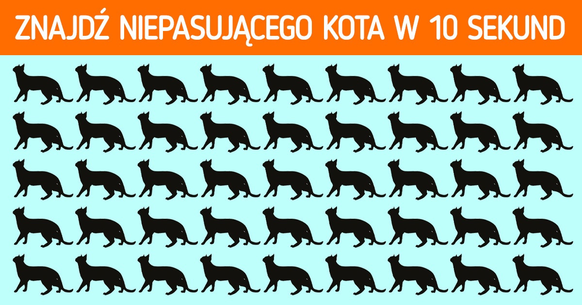 13 łamigłówek, które poddadzą próbie twoją spostrzegawczość