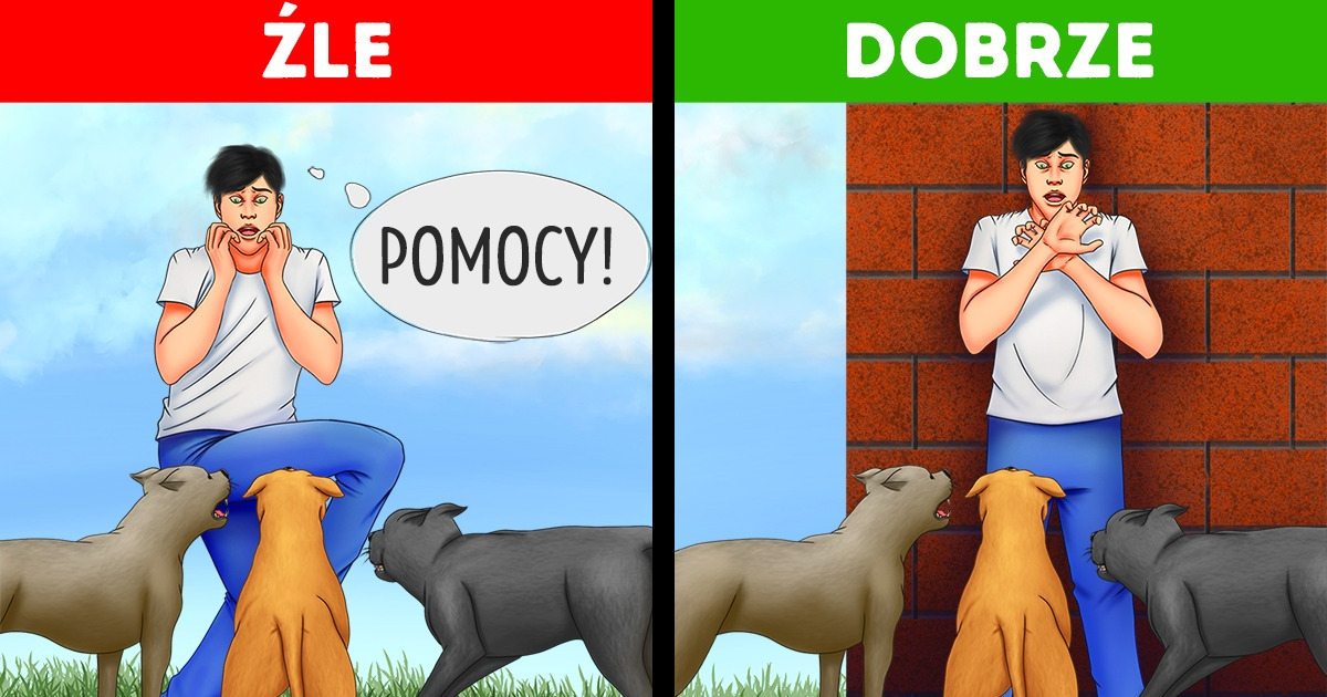 8 powszechnych mitów kontra porady survivalowe, które faktycznie działają 8 powszechnych mitów kontra porady survivalowe, które faktycznie działają