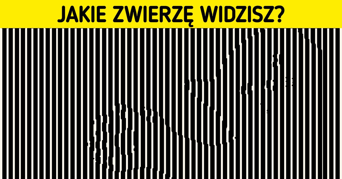 10 zagadek optycznych, które spłatają figle twojemu umysłowi