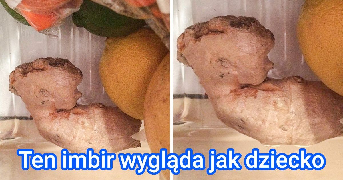 14 osób, które nie mogły uwierzyć własnym oczom i zrobiły zdjęcie