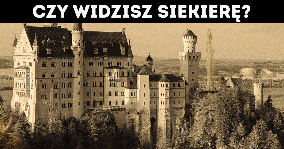Poświęć 60 sekund na zadanie, które sprawdzi twoją dbałość o szczegóły