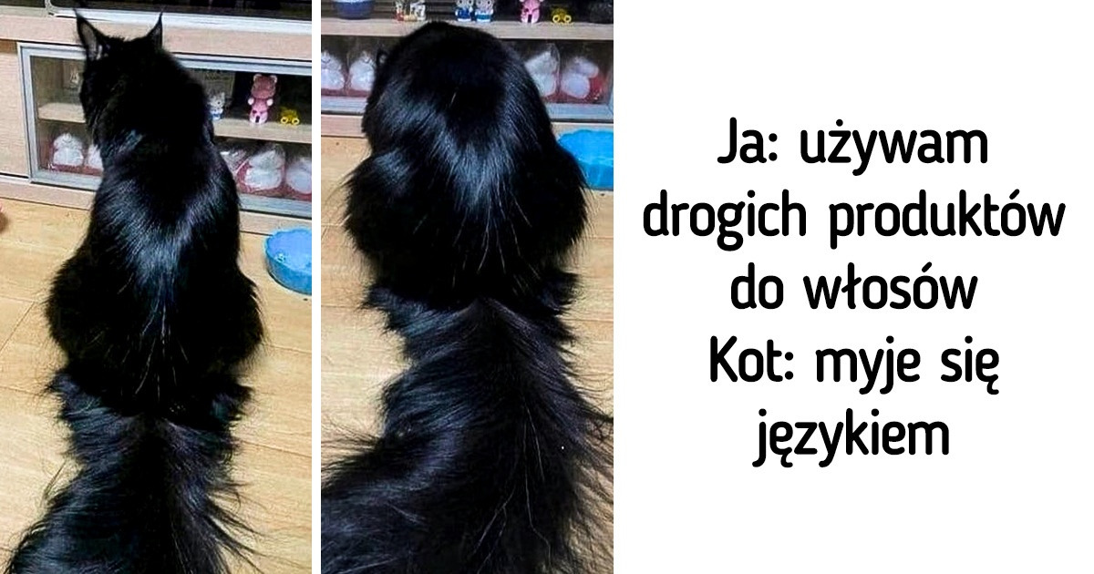 20 sytuacji, w których życie dało znać, że czas wziąć sobie wolne