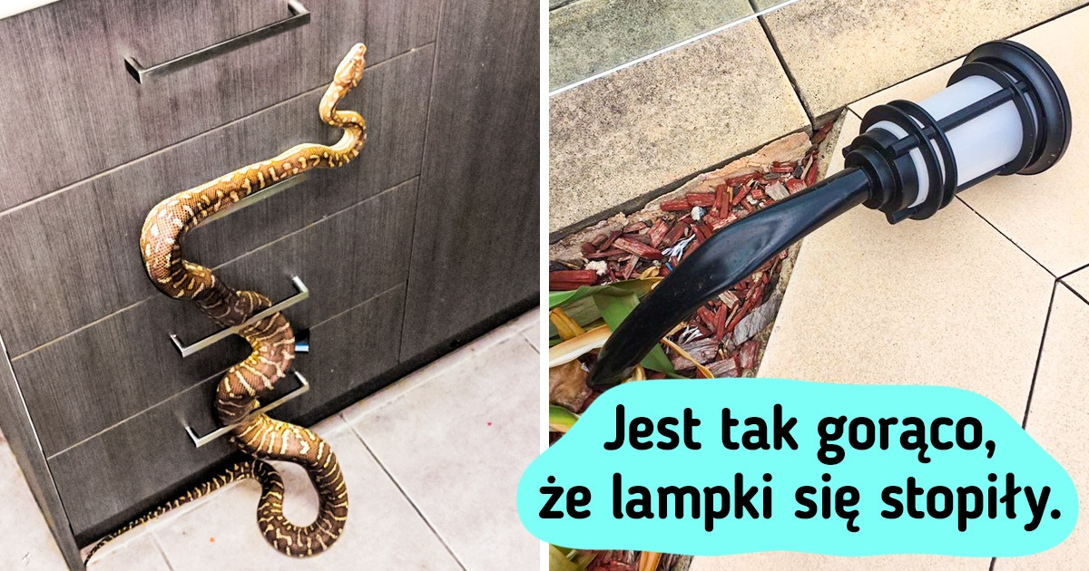 19 zdjęć na dowód, że trzeba mieć odwagę, żeby mieszkać w Australii