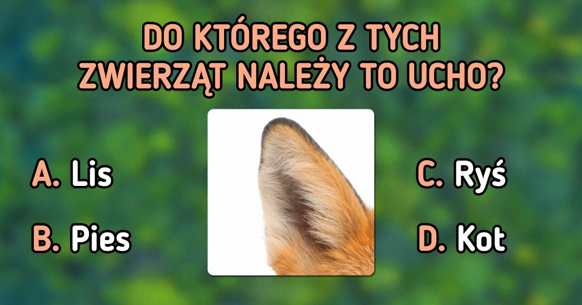 Test: Sprawdź, czy jesteś w stanie rozpoznać wszystkie zwierzęta
