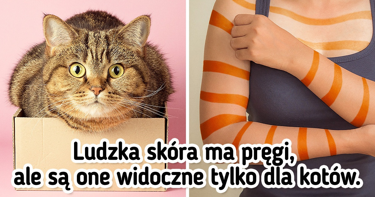10 ciekawostek, o których prawdopodobnie nie uczyliście się na lekcjach biologii