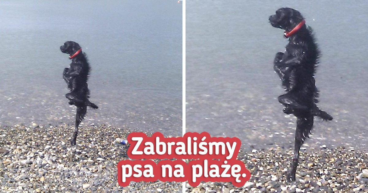 Do zrozumienia tych 15 zdjęć potrzebna jest instrukcja