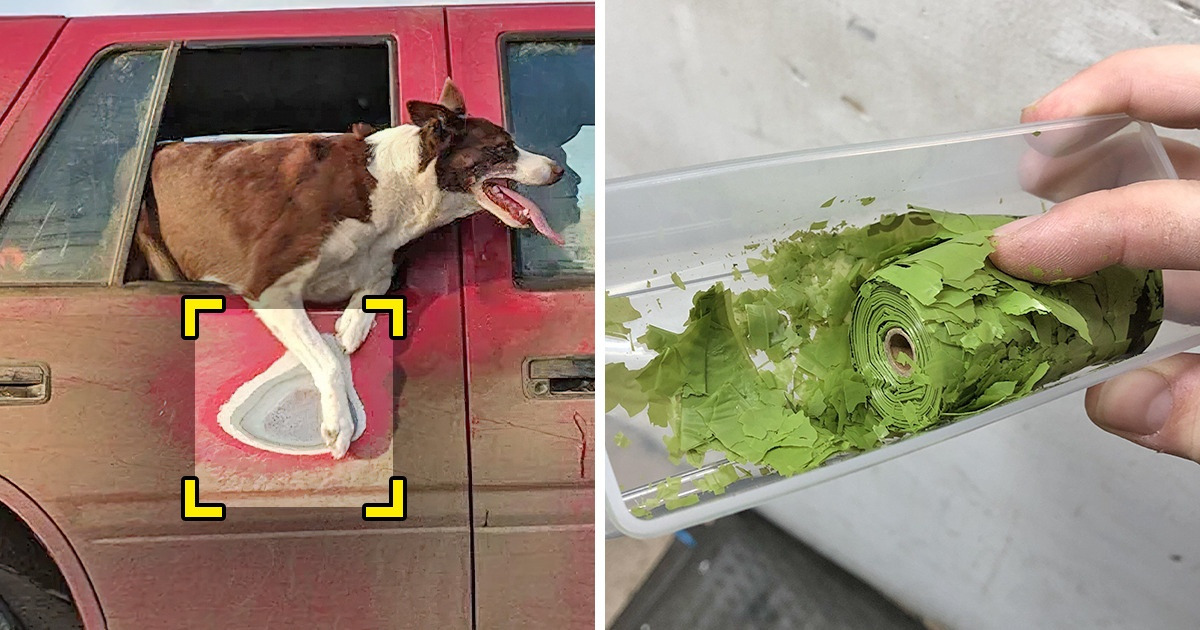 20 zdjęć ukazujących, co czas robi z różnymi rzeczami