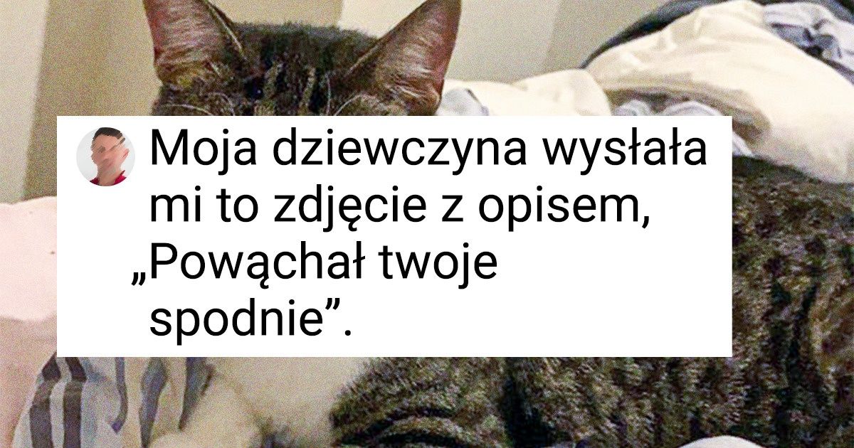 22 zwierzaki, które mają bardzo wyrazistą mimikę