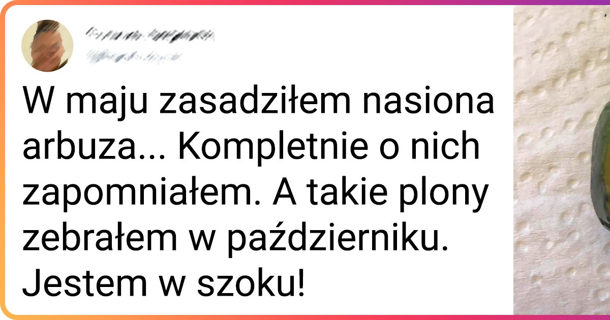16 ogrodników, którzy zebrali zaskakujące plony