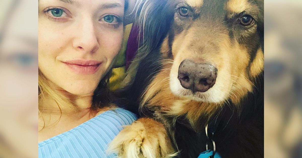 Twój pies kładzie na tobie łapę? To może znaczyć „Kocham cię” Twój pies kładzie na tobie łapę? To może znaczyć „Kocham cię”