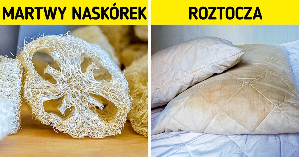 10 akcesoriów domowych, które mogą wyrządzić wiele szkód, jeśli o nie nie zadbamy