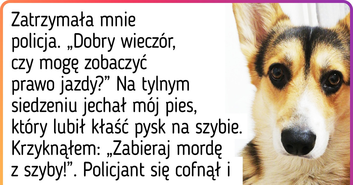 13 osób, które z łatwością zdobyłyby tytuł „wtopy roku” 13 osób, które z łatwością zdobyłyby tytuł „wtopy roku”
