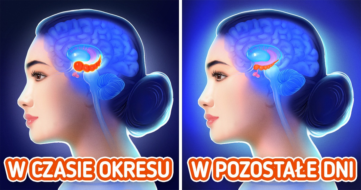 6 niespodziewanych rzeczy, które mają miejsce podczas cyklu - Rzeczy Które Mają Miejsce W Telenowelach