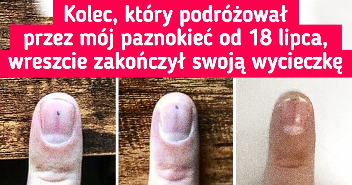 Spostrzegawczość jest objawem geniuszu. Oto 20 osób z bystrym okiem