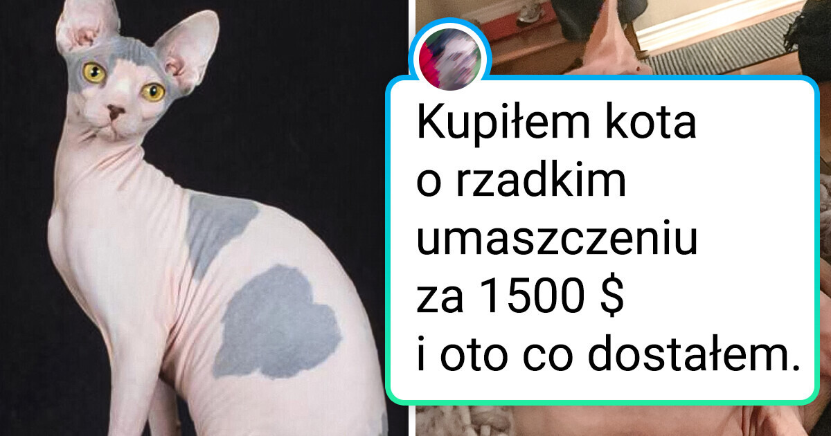17 par zdjęć, które świetnie pokazują, jak te same rzeczy mogą się różnić