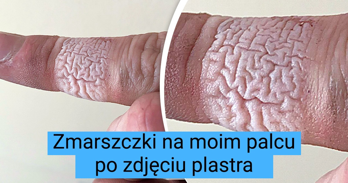 15 zdjęć prezentujących życie codzienne z ciekawej perspektywy