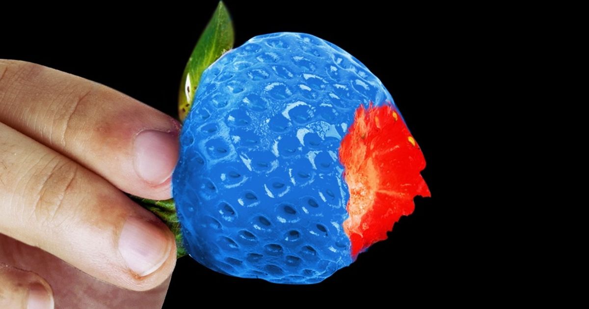 Świat widziany oczami osób cierpiących na ślepotę barw Świat widziany oczami osób cierpiących na ślepotę barw