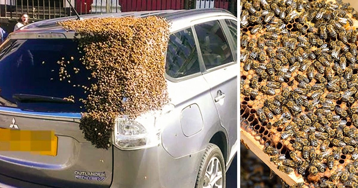 14 epickich sytuacji, w których wszystko poszło nie tak 14 epickich sytuacji, w których wszystko poszło nie tak