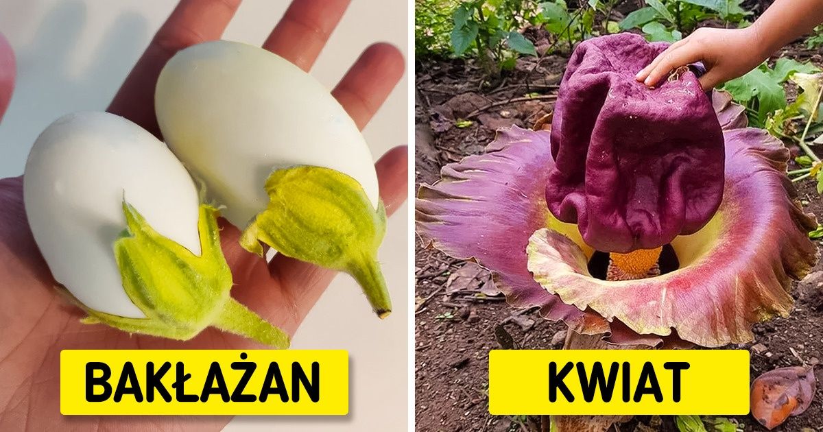 Natura skrywa przed nami jeszcze wiele tajemnic (18 zdjęć)