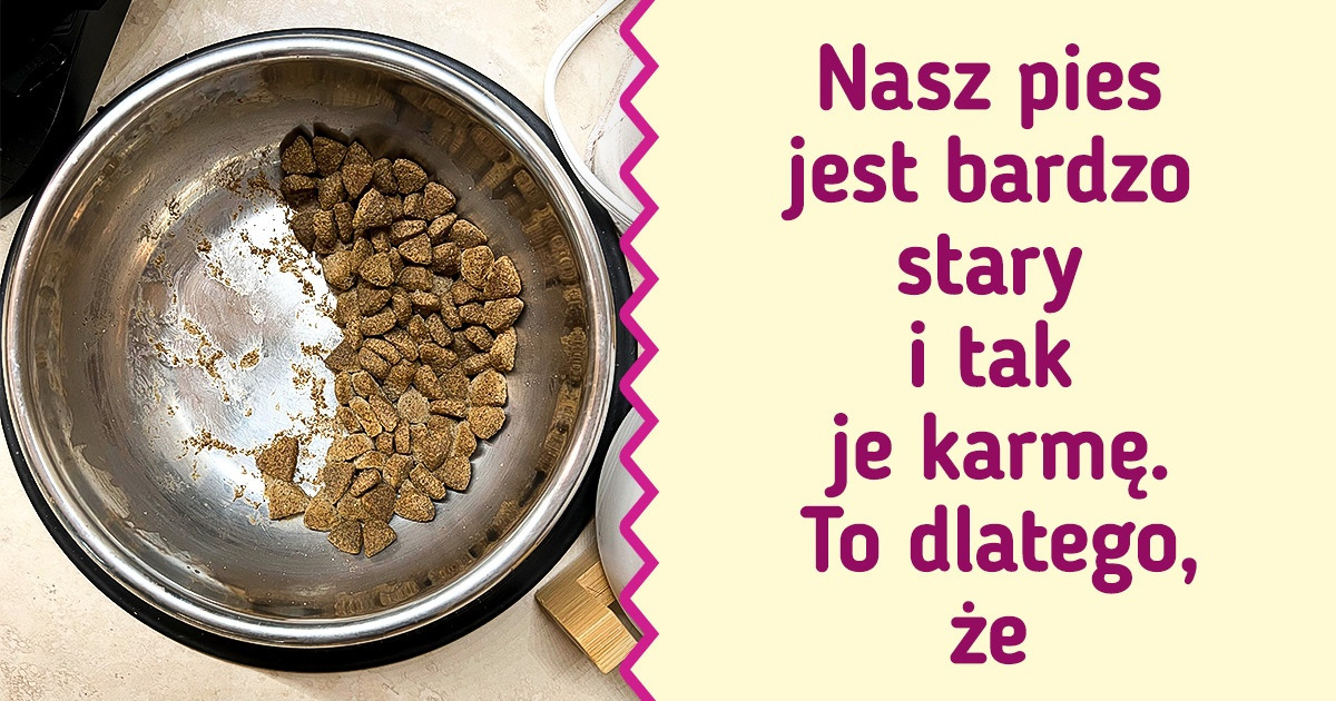 19 zdjęć, które nie wydają się wyjątkowe, dopóki nie przeczytasz podpisów