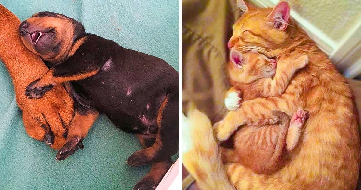 20 zdjęć, które dowodzą, że nie ma jak u mamy