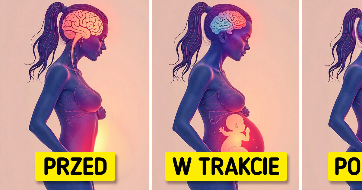 Badania dowodzą, że ciąża zmienia mózg na zawsze Badania dowodzą, że ciąża zmienia mózg na zawsze
