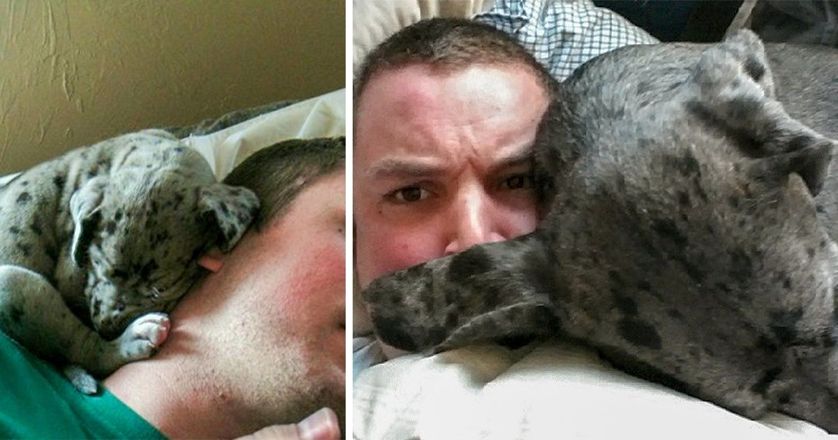 20 zdjęć dorastających zwierzątek, które napełniają serca radością