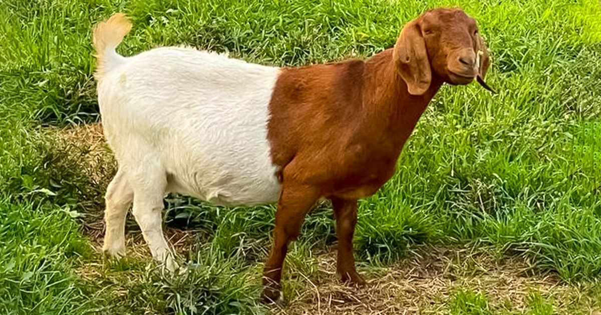 20 sytuacji, w których matce naturze zepsuła się drukarka