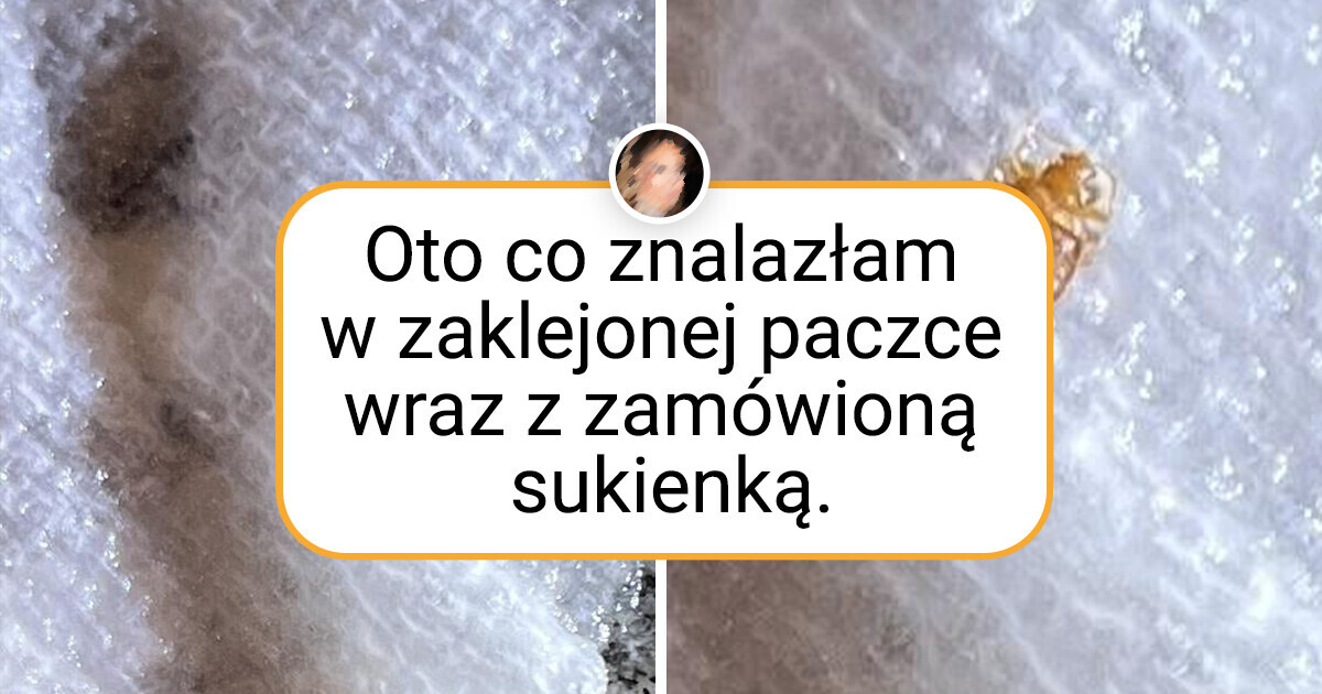 18 osób, których oczekiwania co do zamówionych rzeczy boleśnie rozminęły się z rzeczywistością